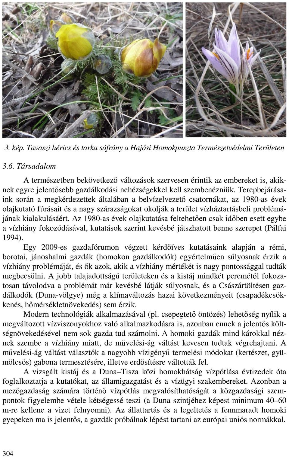 Terepbejárásaink során a megkérdezettek általában a belvízelvezetı csatornákat, az 1980-as évek olajkutató fúrásait és a nagy szárazságokat okolják a terület vízháztartásbeli problémájának