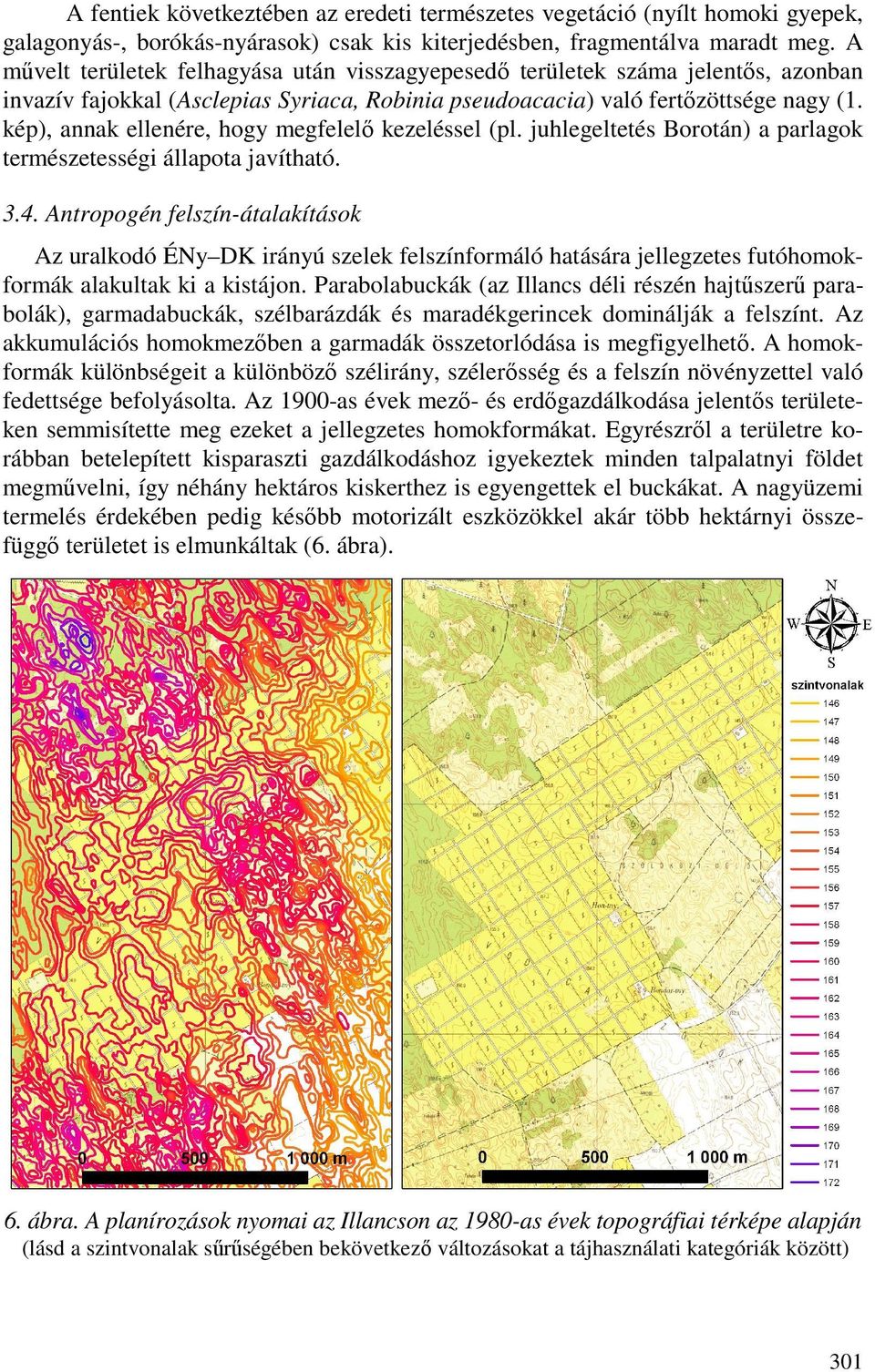 kép), annak ellenére, hogy megfelelı kezeléssel (pl. juhlegeltetés Borotán) a parlagok természetességi állapota javítható. 3.4.