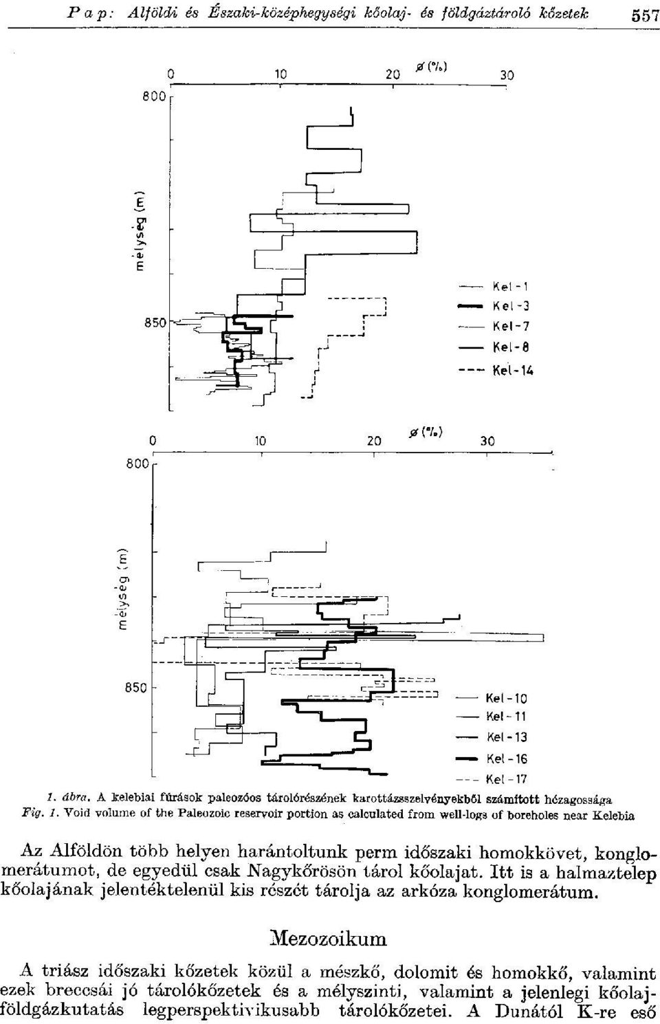 "Void volume of the Paleozoic reservoir portion as calculated from well-logs of boreholes near Kelebia Az Alföldön több helyen harántoltunk perm időszaki homokkövet,