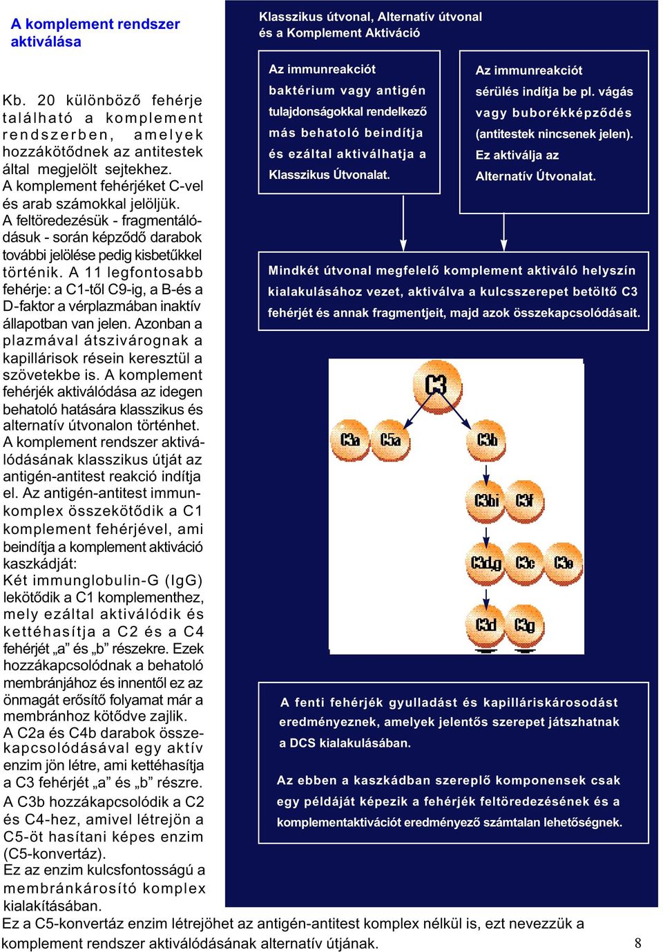 hozzákötõdnek az antitestek és ezáltal aktiválhatja a Ez aktiválja az által megjelölt sejtekhez. A komplement fehérjéket C-vel Klasszikus Útvonalat. Alternatív Útvonalat. és arab számokkal jelöljük.