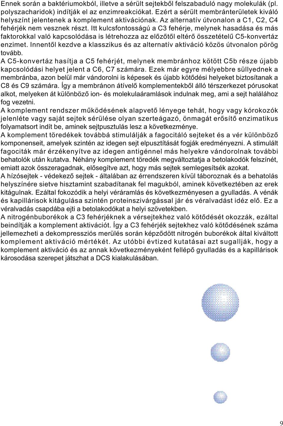 Itt kulcsfontosságú a C3 fehérje, melynek hasadása és más faktorokkal való kapcsolódása is létrehozza az elõzõtõl eltérõ összetételû C5-konvertáz enzimet.