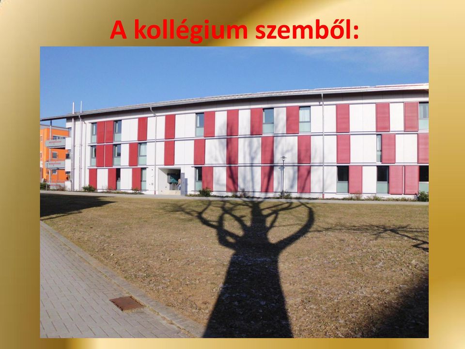 szemből: