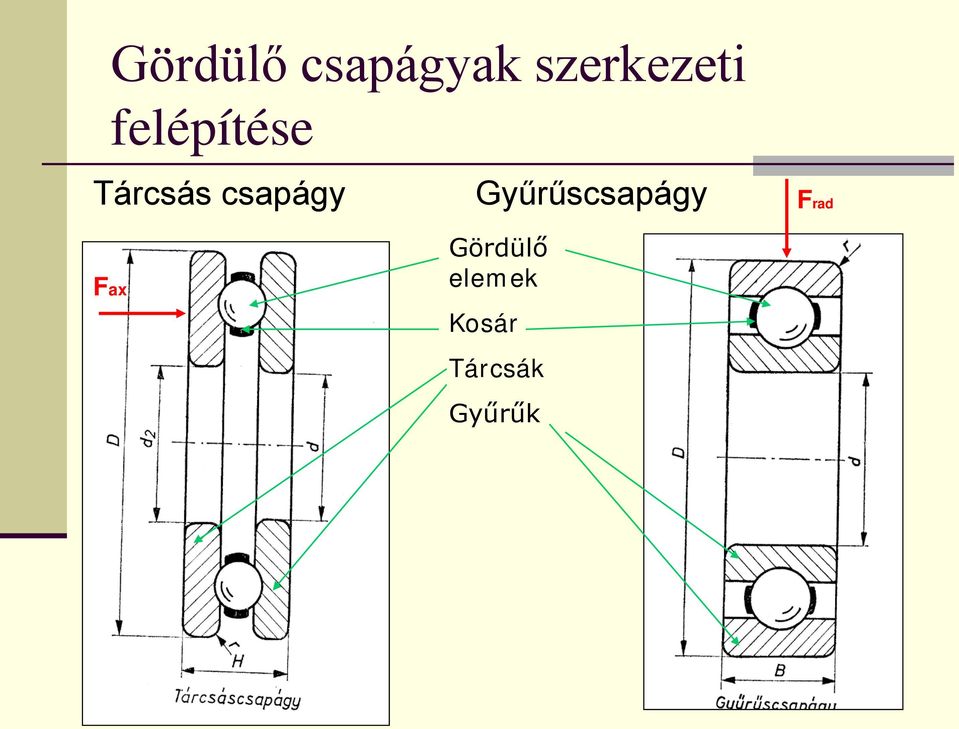 Fax Gyűrűscsapágy Gördülő