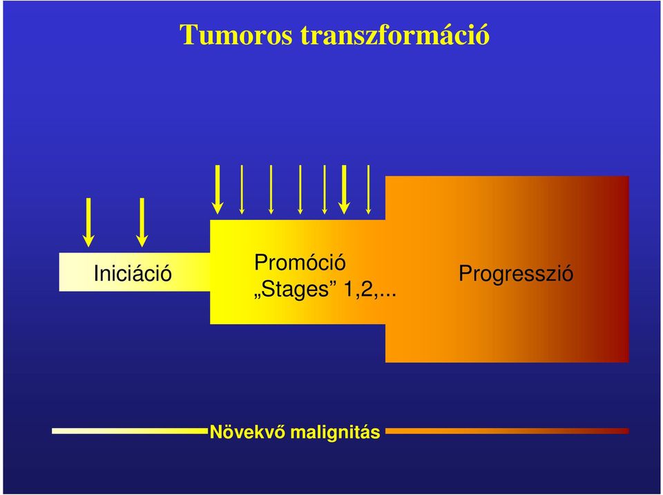 Iniciáció Promóció