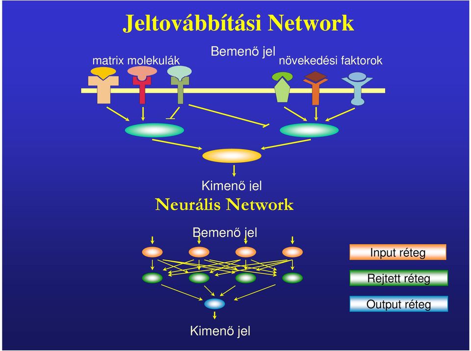 jel Neurális Network Bemenı jel Input