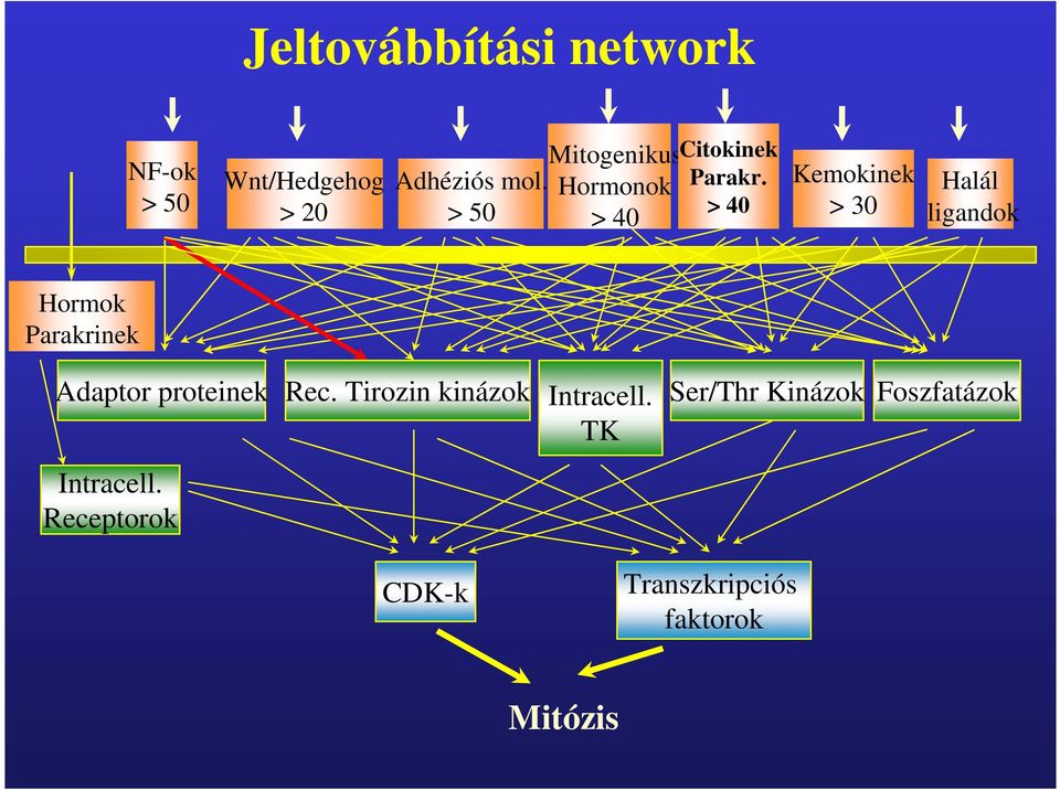 > 40 Kemokinek > 30 Halál ligandok Hormok Parakrinek Adaptor proteinek Rec.