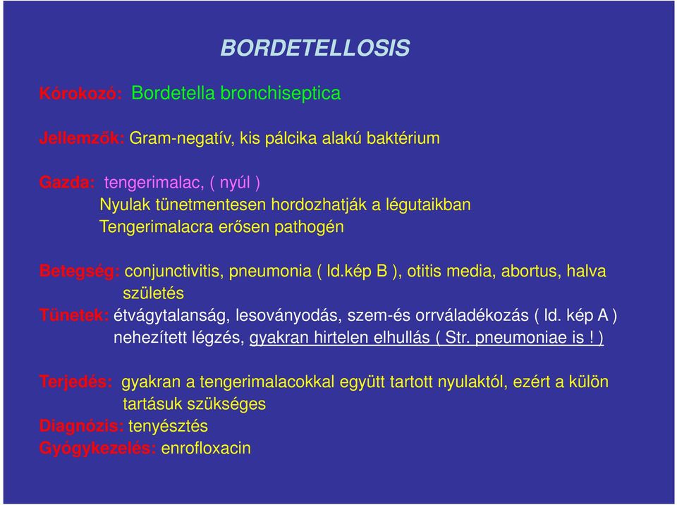 kép B ), otitis media, abortus, halva születés Tünetek: étvágytalanság, lesoványodás, szem-és orrváladékozás ( ld.