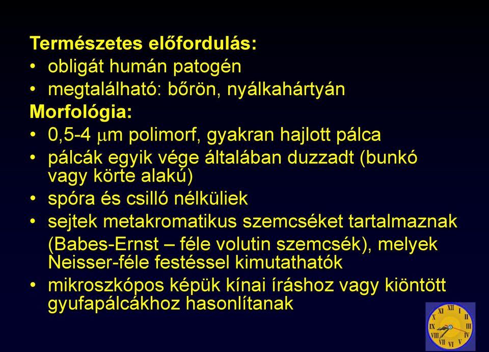 csilló nélküliek sejtek metakromatikus szemcséket tartalmaznak (Babes-Ernst féle volutin szemcsék),