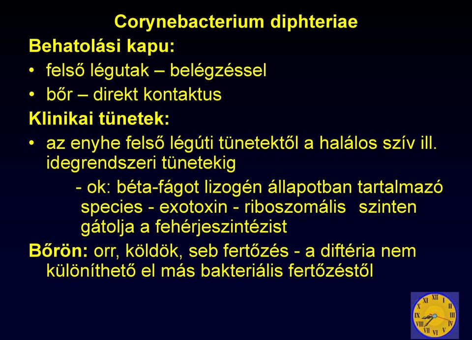 idegrendszeri tünetekig - ok: béta-fágot lizogén állapotban tartalmazó species - exotoxin -