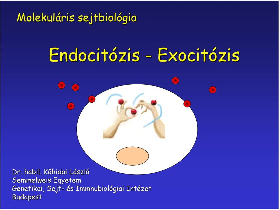 Endocitózis