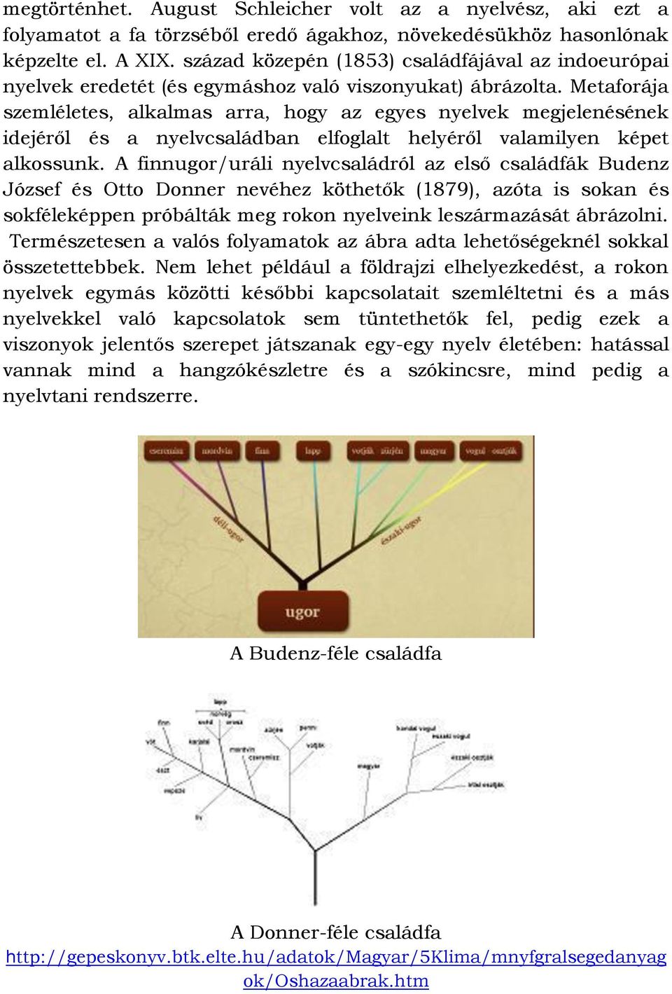 Metaforája szemléletes, alkalmas arra, hogy az egyes nyelvek megjelenésének idejéről és a nyelvcsaládban elfoglalt helyéről valamilyen képet alkossunk.