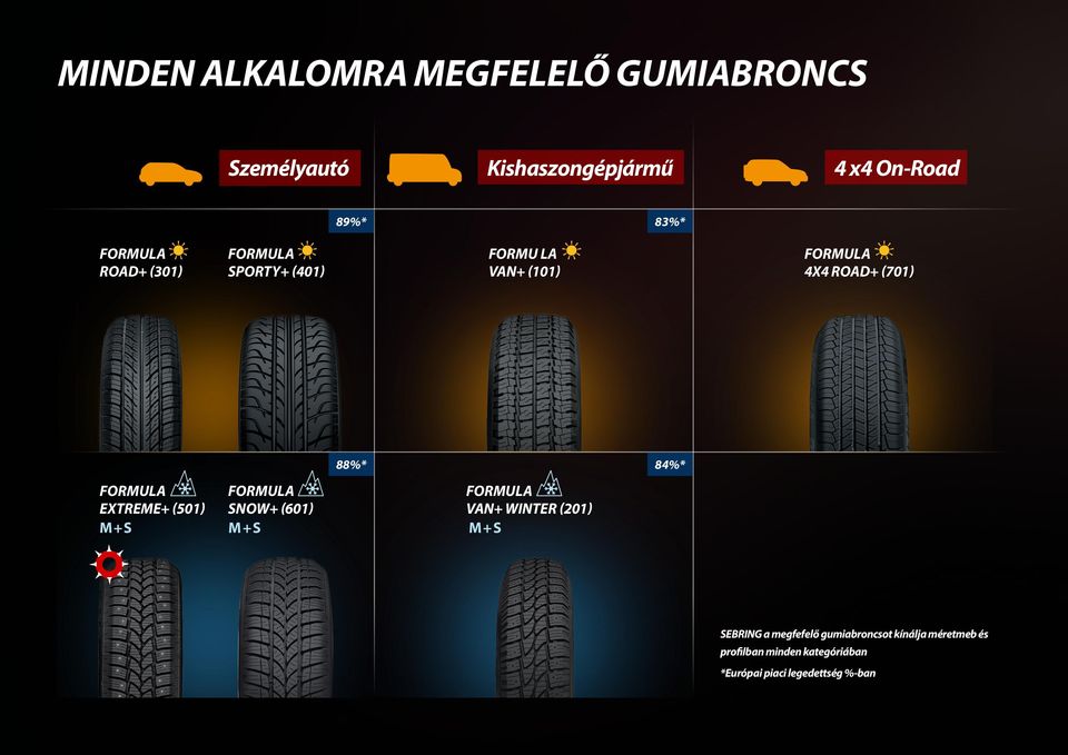 EXTREME+ (501) SNOW+ (601) VAN+ WINTER (201) M + S M + S M + S SEBRING a megfefelő