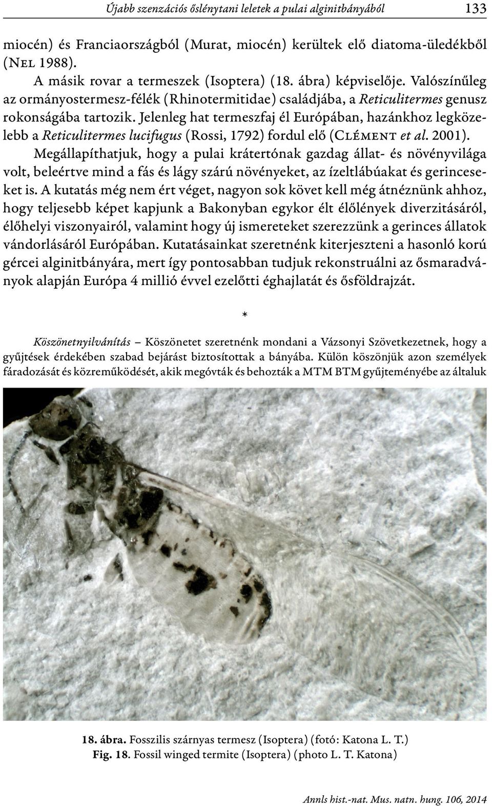 Jelenleg hat termeszfaj él Európában, hazánkhoz legközelebb a Reticulitermes lucifugus (Rossi, 1792) fordul elő (Clément et al. 2001).