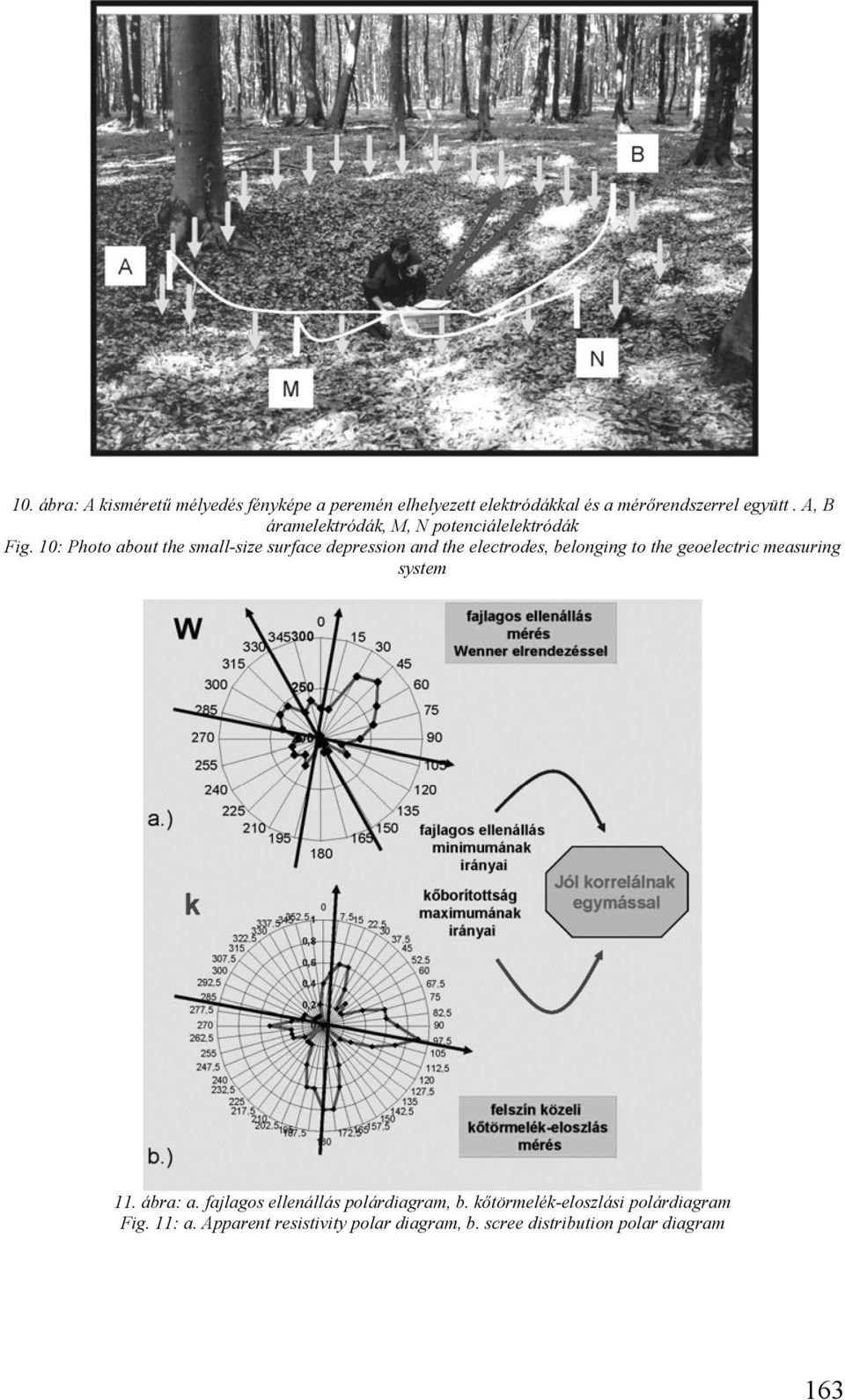 10: Photo about the small-size surface depression and the electrodes, belonging to the geoelectric measuring