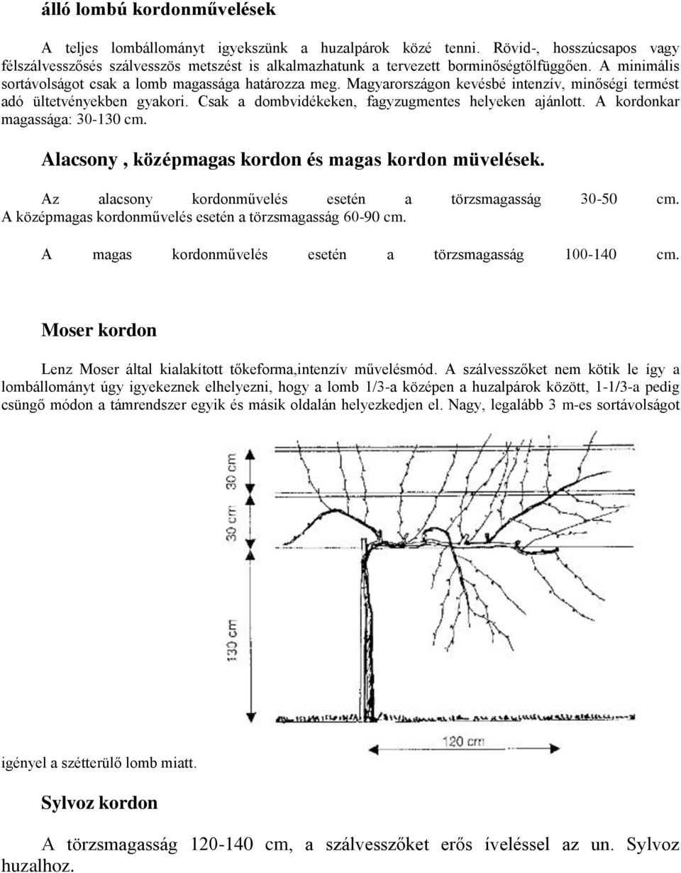 Magyarországon kevésbé intenzív, minőségi termést adó ültetvényekben gyakori. Csak a dombvidékeken, fagyzugmentes helyeken ajánlott. A kordonkar magassága: 30-130 cm.