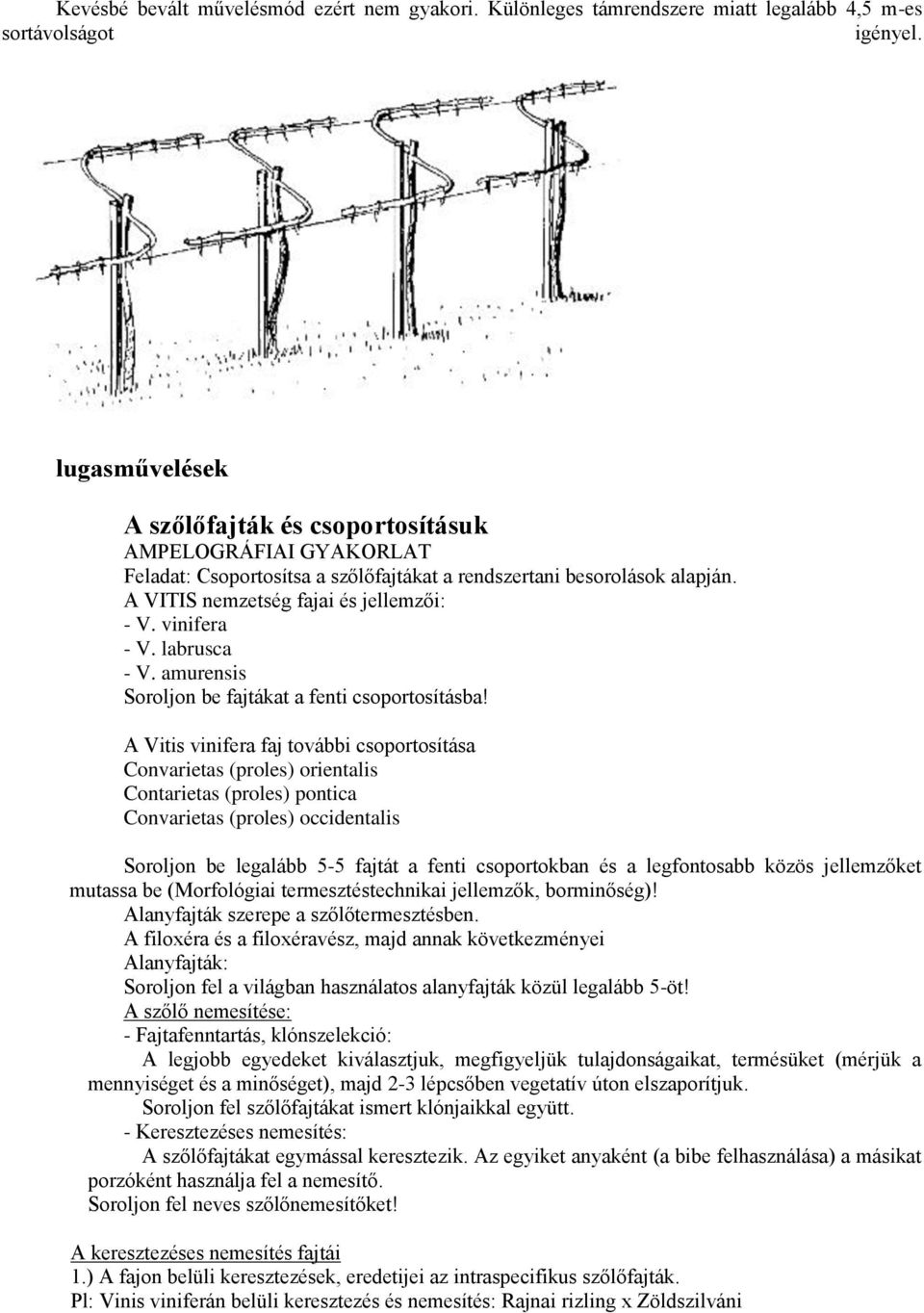 vinifera - V. labrusca - V. amurensis Soroljon be fajtákat a fenti csoportosításba!