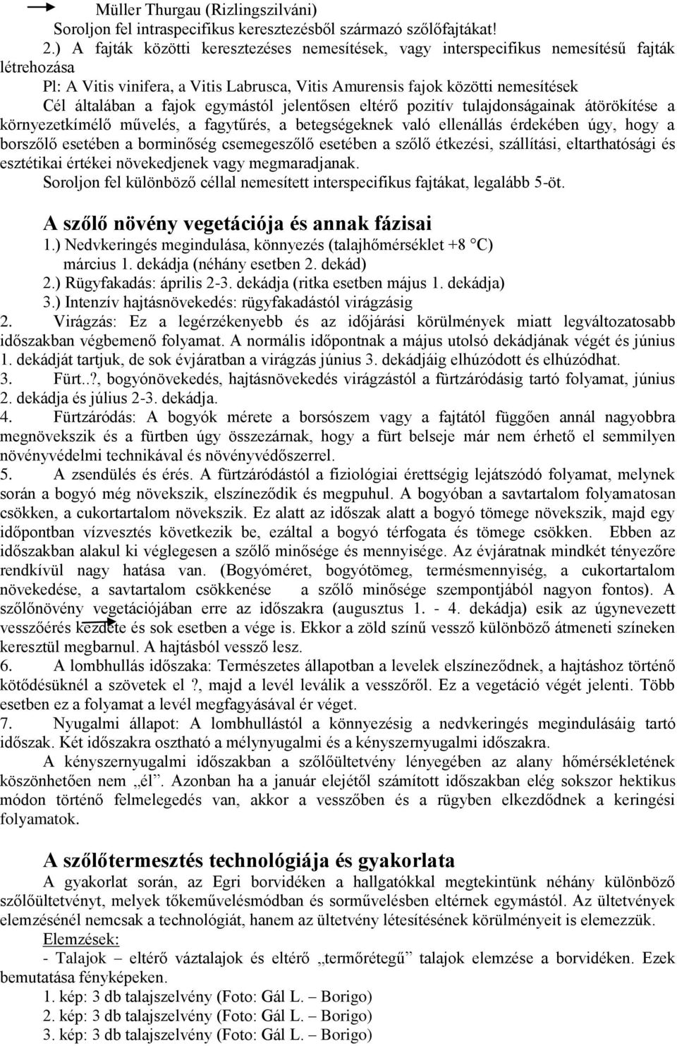 fajok egymástól jelentősen eltérő pozitív tulajdonságainak átörökítése a környezetkímélő művelés, a fagytűrés, a betegségeknek való ellenállás érdekében úgy, hogy a borszőlő esetében a borminőség