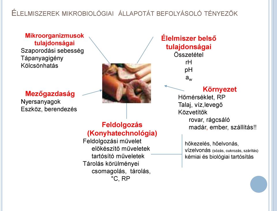 Tárolás körülményei csomagolás, tárolás, C, RP Élelmiszer belső tulajdonságai Összetétel rh ph a w Környezet Hőmérséklet, RP Talaj,