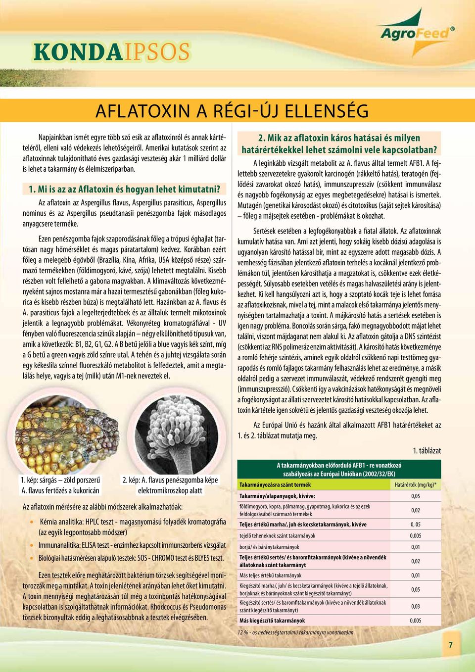 Az aflatoxin az Aspergillus flavus, Aspergillus parasiticus, Aspergillus nominus és az Aspergillus pseudtanasii penészgomba fajok másodlagos anyagcsere terméke.