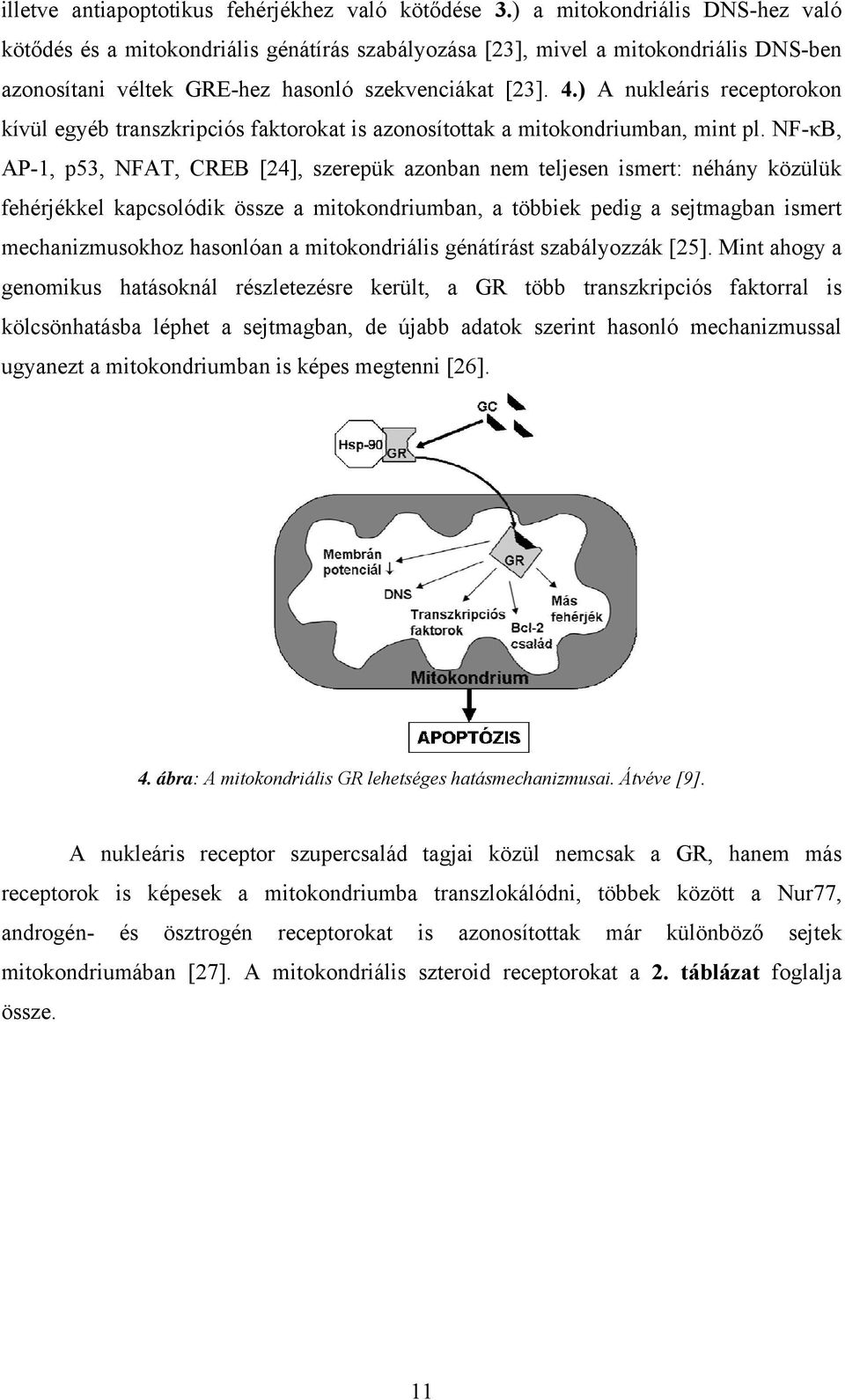 ) A nukleáris receptorokon kívül egyéb transzkripciós faktorokat is azonosítottak a mitokondriumban, mint pl.