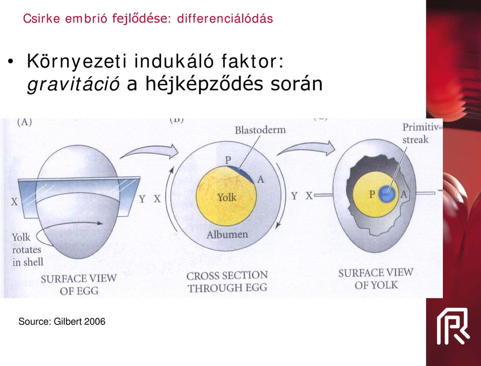 indukáló faktor: gravitáció a