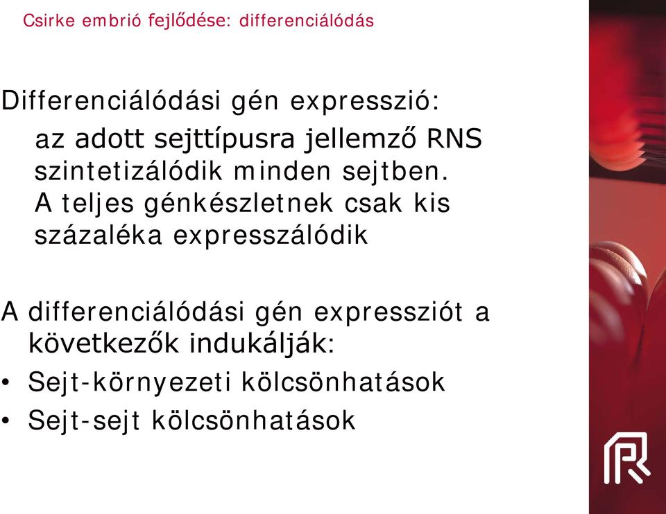 A teljes génkészletnek csak kis százaléka expresszálódik A differenciálódási