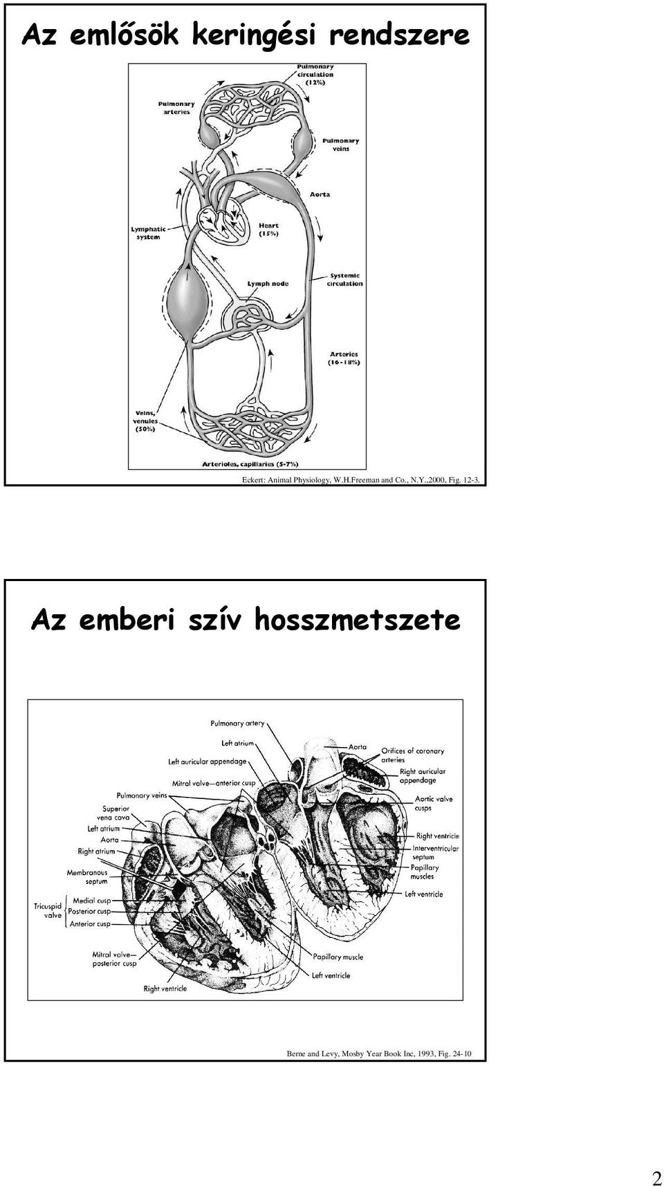 ,2000, Fig. 12-3.