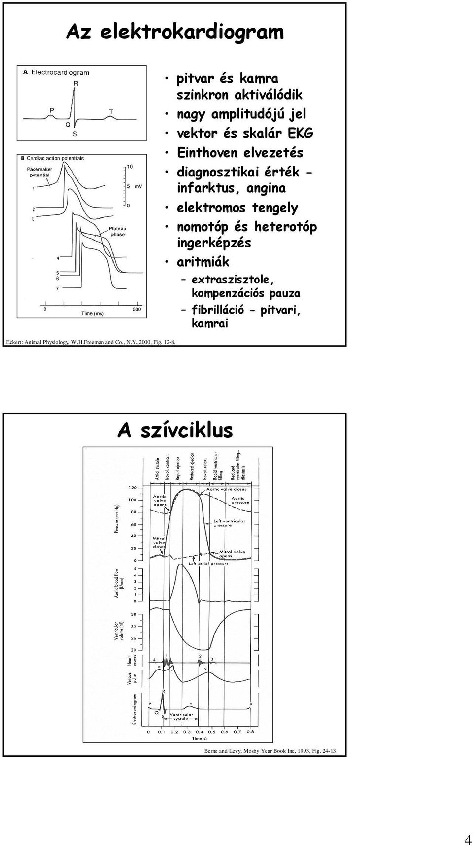 diagnosztikai érték - infarktus, angina elektromos tengely nomotóp és heterotóp ingerképzés aritmiák