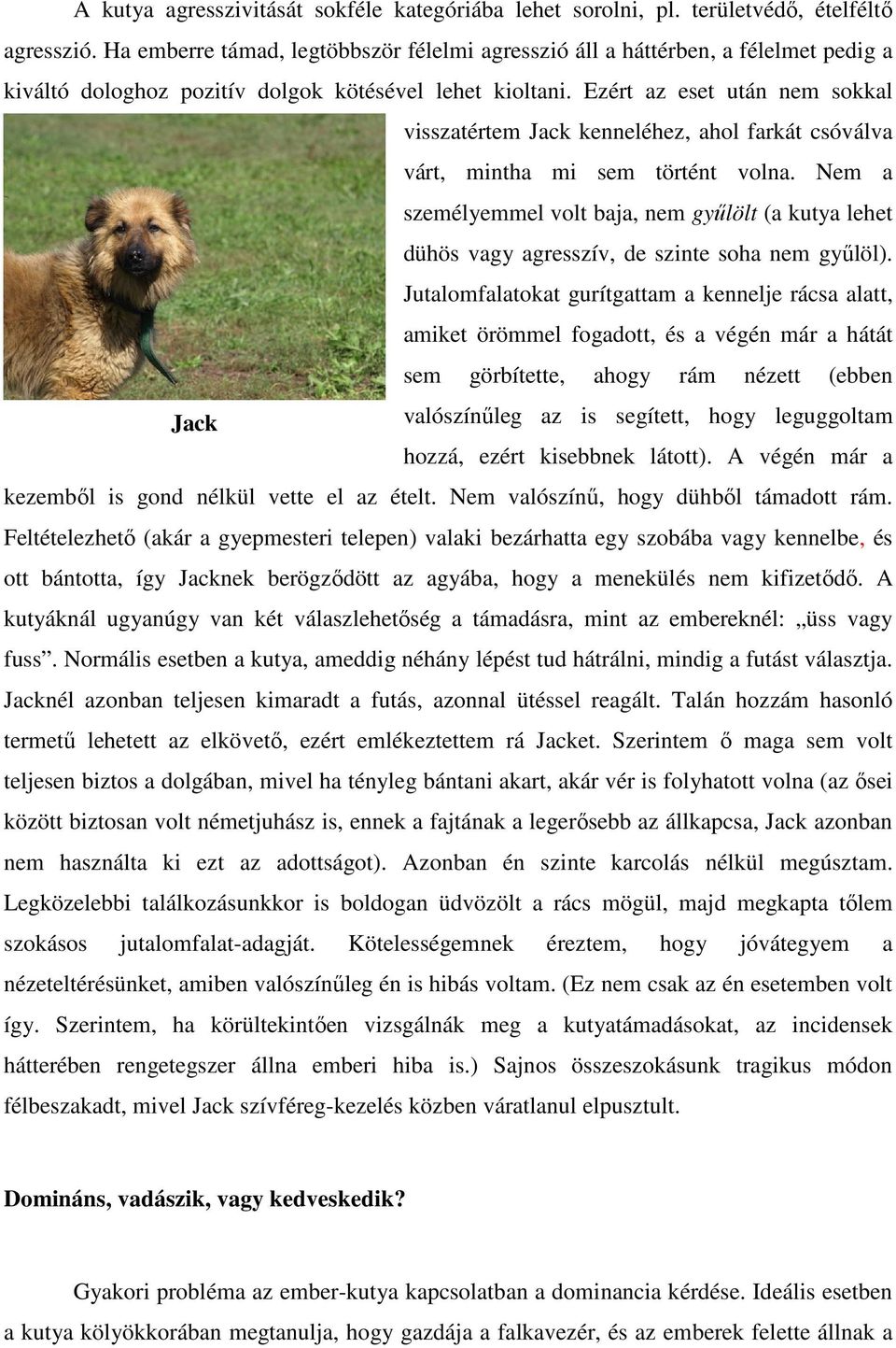 Ezért az eset után nem sokkal visszatértem Jack kenneléhez, ahol farkát csóválva várt, mintha mi sem történt volna.