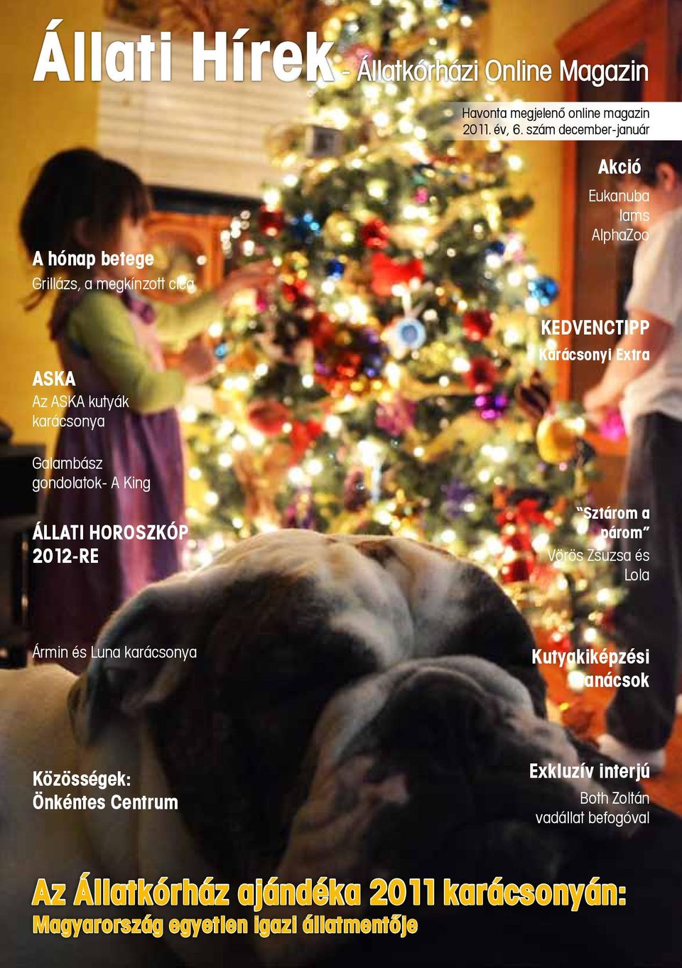 Karácsonyi Extra Galambász gondolatok- A King Állati Horoszkóp 2012-re Sztárom a párom Vörös Zsuzsa és Lola Ármin és Luna karácsonya