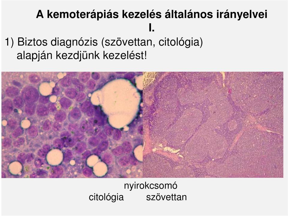 1) Biztos diagnózis (szövettan,