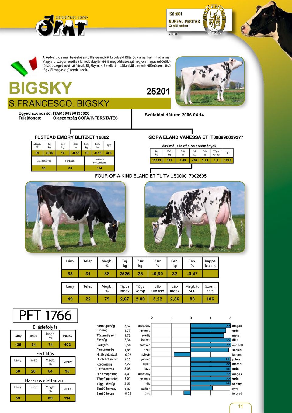 BIGSKY Egyed azonosító: ITAM098990135820 Tulajdonos: Olaszország COFA/INTERSTATES 25201 Születési dátum: 2006.04.14.