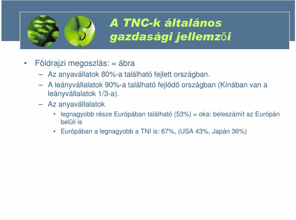 A leányvállalatok 90%-a található fejlıdı országban (Kínában van a leányvállalatok 1/3-a).