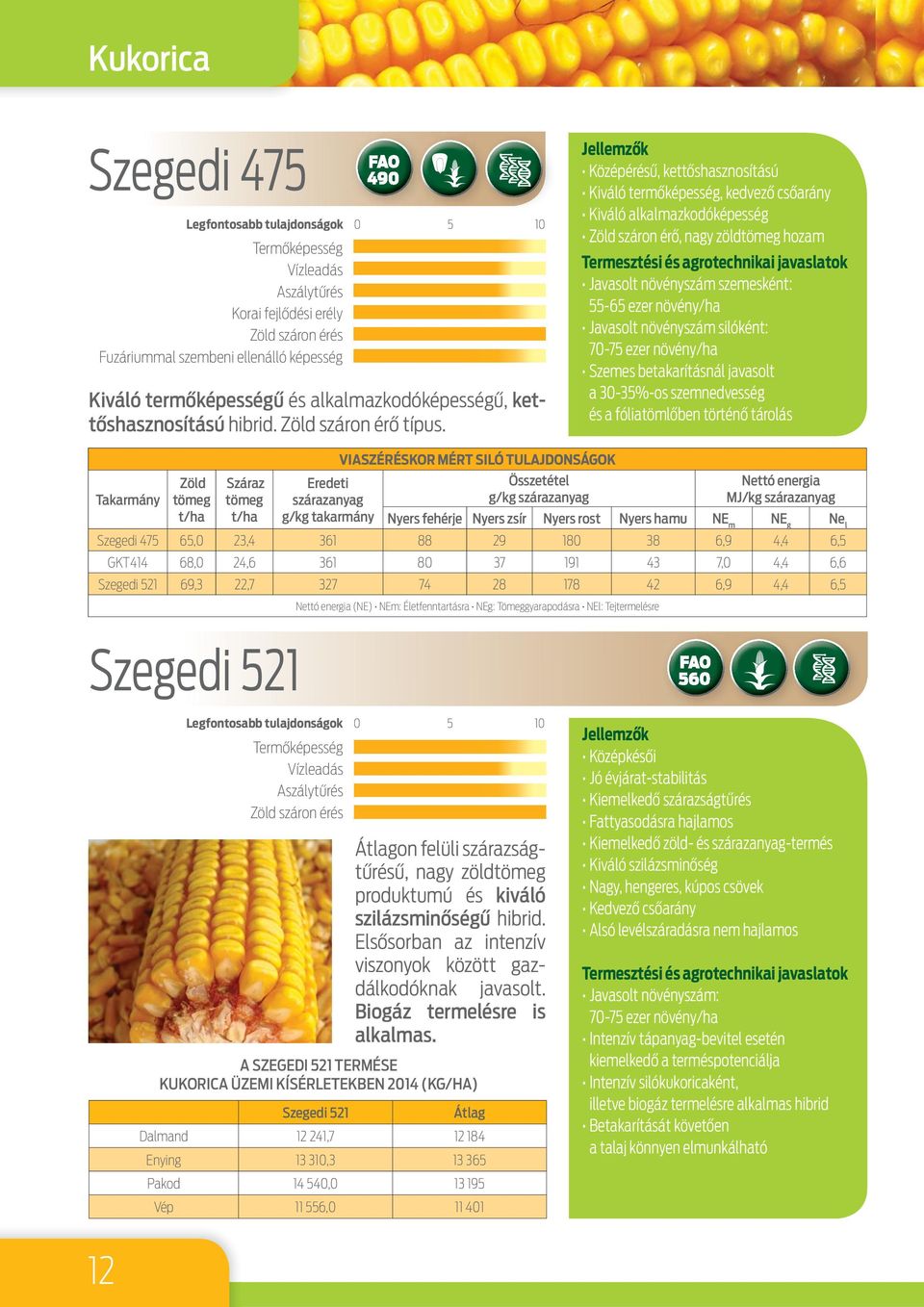 növényszám silóként: 70-75 ezer növény/ha Szemes betakarításnál javasolt a 30-35%-os szemnedvesség és a fóliatömlőben történő tárolás Zöld tömeg t/ha Száraz tömeg t/ha Szegedi 521 Eredeti szárazanyag
