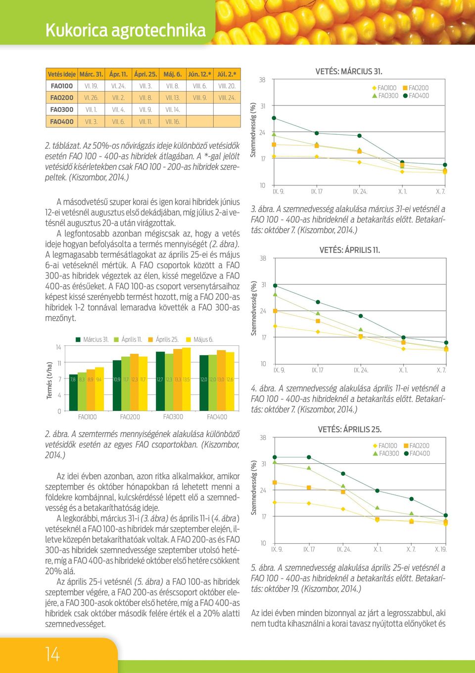 A *-gal jelölt vetésidő kísérletekben csak FAO 100-200-as hibridek szerepeltek. (Kiszombor, 2014.