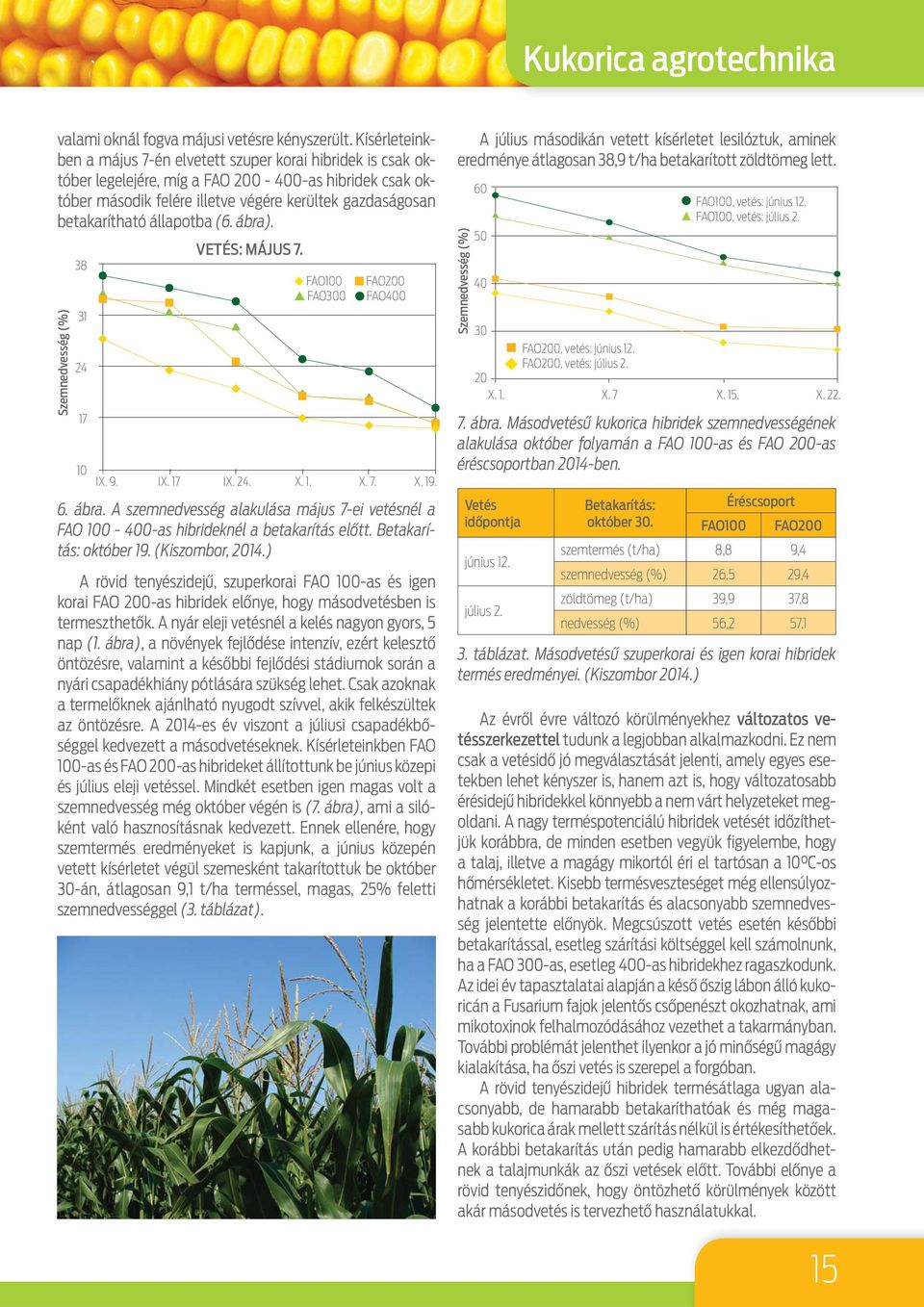állapotba (6. ábra). Szemnedvesség (%) 38 31 24 17 VETÉS: MÁJUS 7. FAO100 FAO200 FAO300 FAO400 10 IX. 9. IX. 17 IX. 24. X. 1. X. 7. X. 19. 6. ábra. A szemnedvesség alakulása május 7-ei vetésnél a FAO 100-400-as hibrideknél a betakarítás előtt.