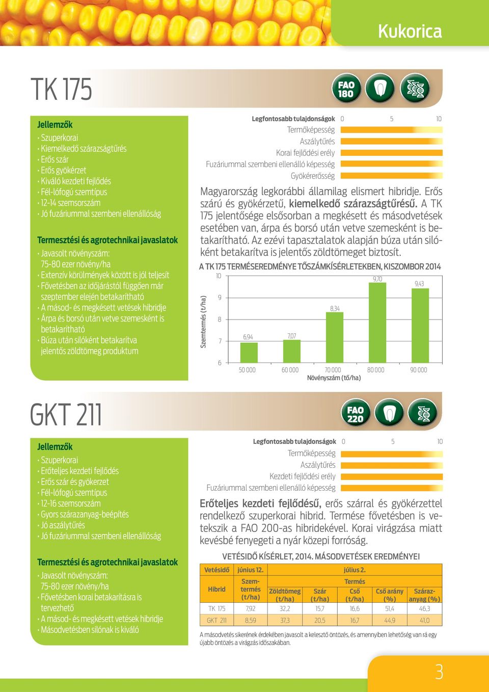 szemesként is betakarítható Búza után silóként betakarítva jelentős zöldtömeg produktum GKT 211 Szuperkorai Erőteljes kezdeti fejlődés Erős szár és gyökerzet Fél-lófogú szemtípus 12-16 szemsorszám