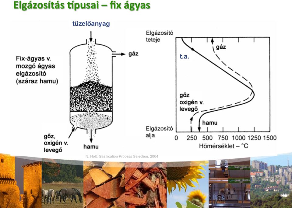 Holt: Gasification