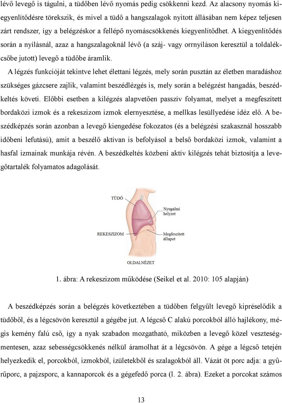 A kiegyenlítődés során a nyílásnál, azaz a hangszalagoknál lévő (a száj- vagy orrnyíláson keresztül a toldalékcsőbe jutott) levegő a tüdőbe áramlik.