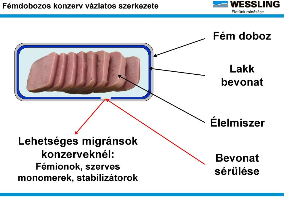 migránsok konzerveknél: Fémionok, szerves