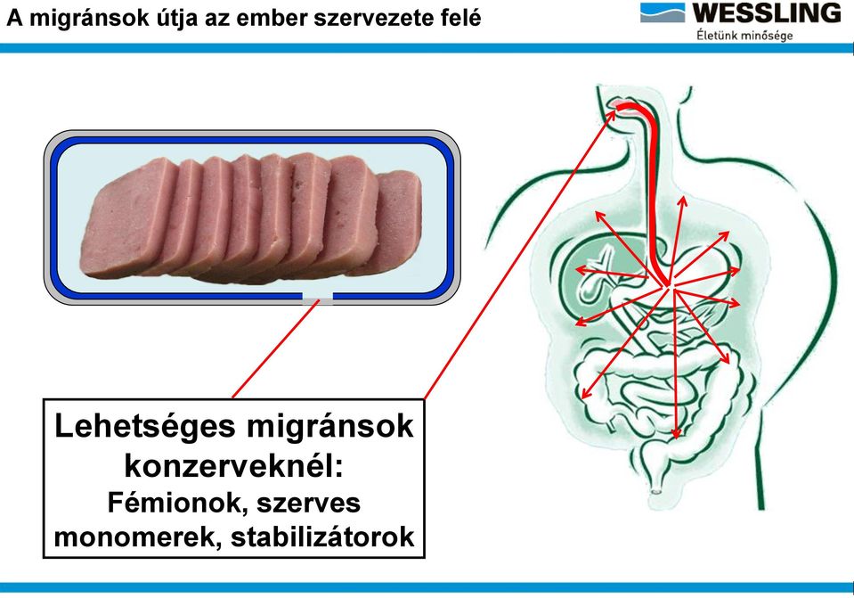 migránsok konzerveknél: