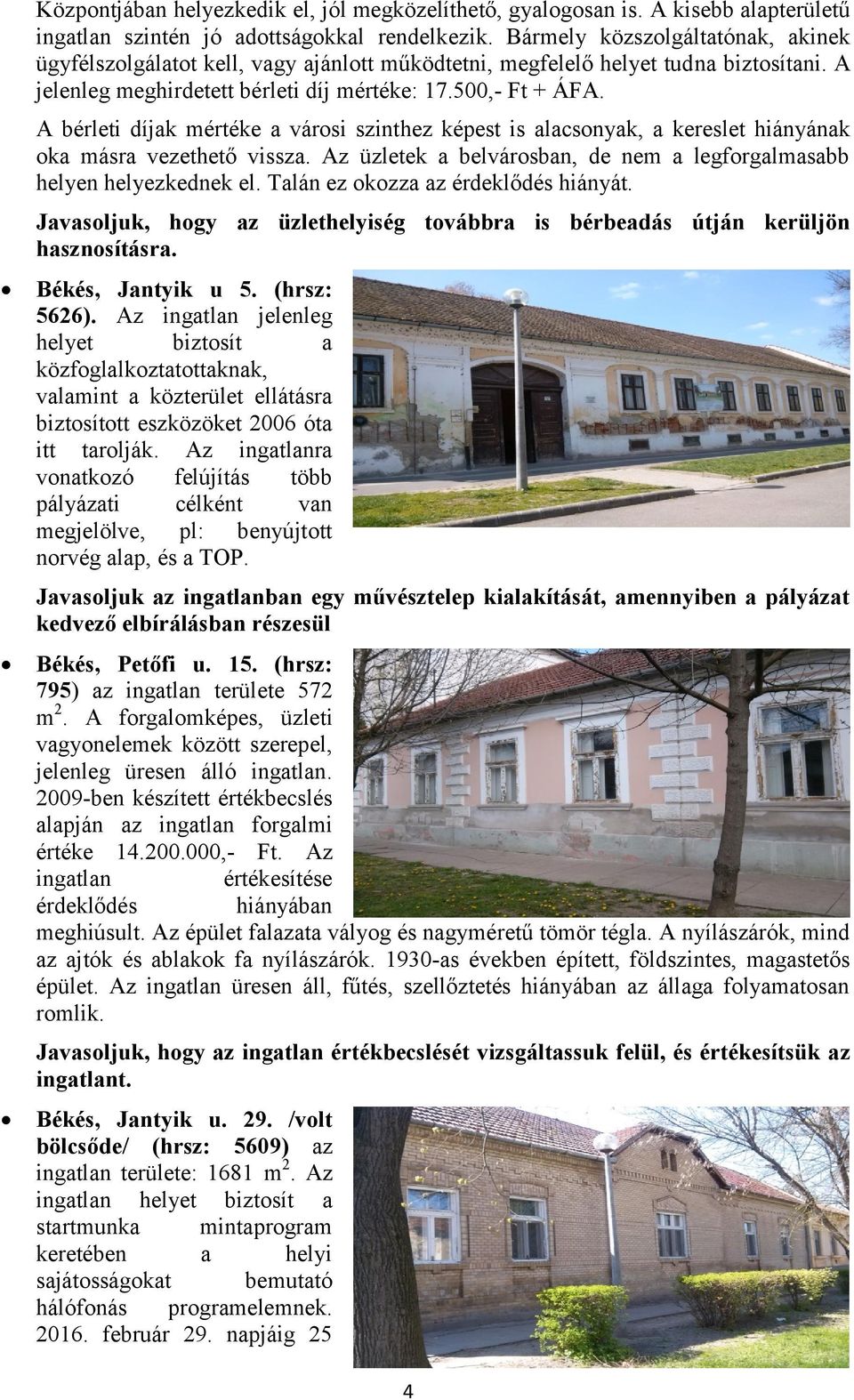 A bérleti díjak mértéke a városi szinthez képest is alacsonyak, a kereslet hiányának oka másra vezethető vissza. Az üzletek a belvárosban, de nem a legforgalmasabb helyen helyezkednek el.