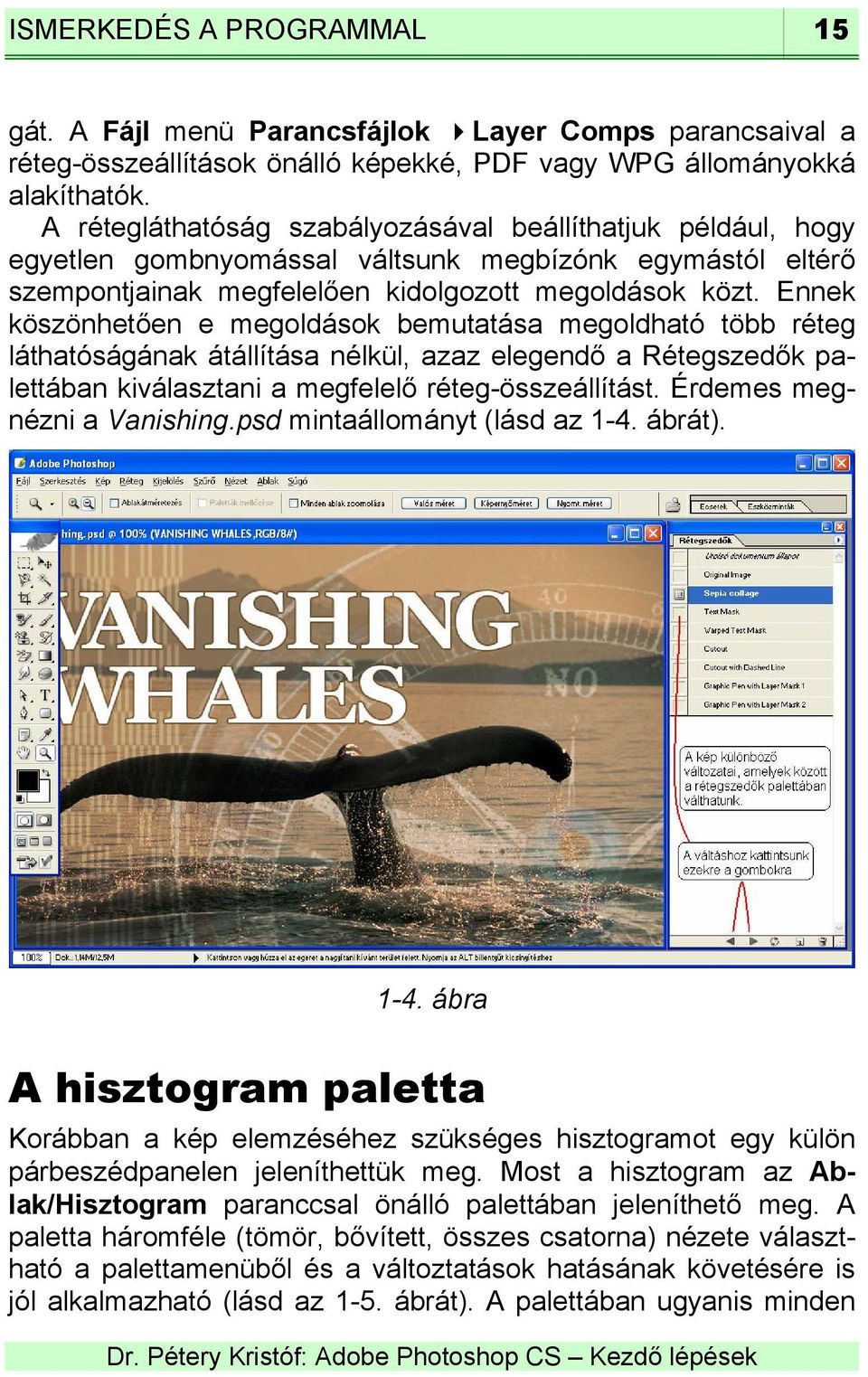 Ennek köszönhetően e megoldások bemutatása megoldható több réteg láthatóságának átállítása nélkül, azaz elegendő a Rétegszedők palettában kiválasztani a megfelelő réteg-összeállítást.