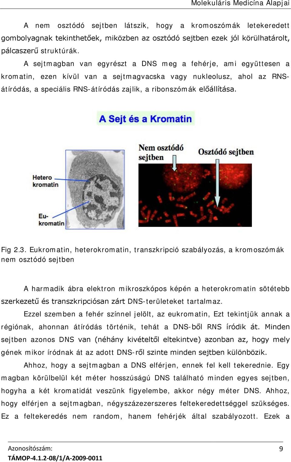 előállítása. Fig 2.3.