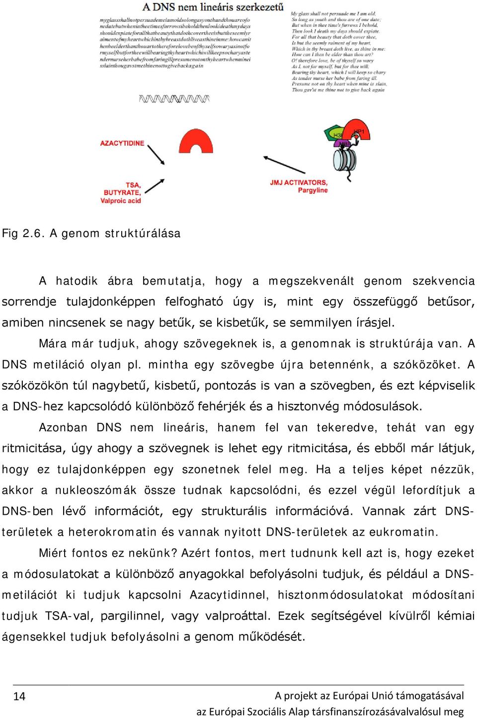 kisbetűk, se semmilyen írásjel. Mára már tudjuk, ahogy szövegeknek is, a genomnak is struktúrája van. A DNS metiláció olyan pl. mintha egy szövegbe újra betennénk, a szóközöket.