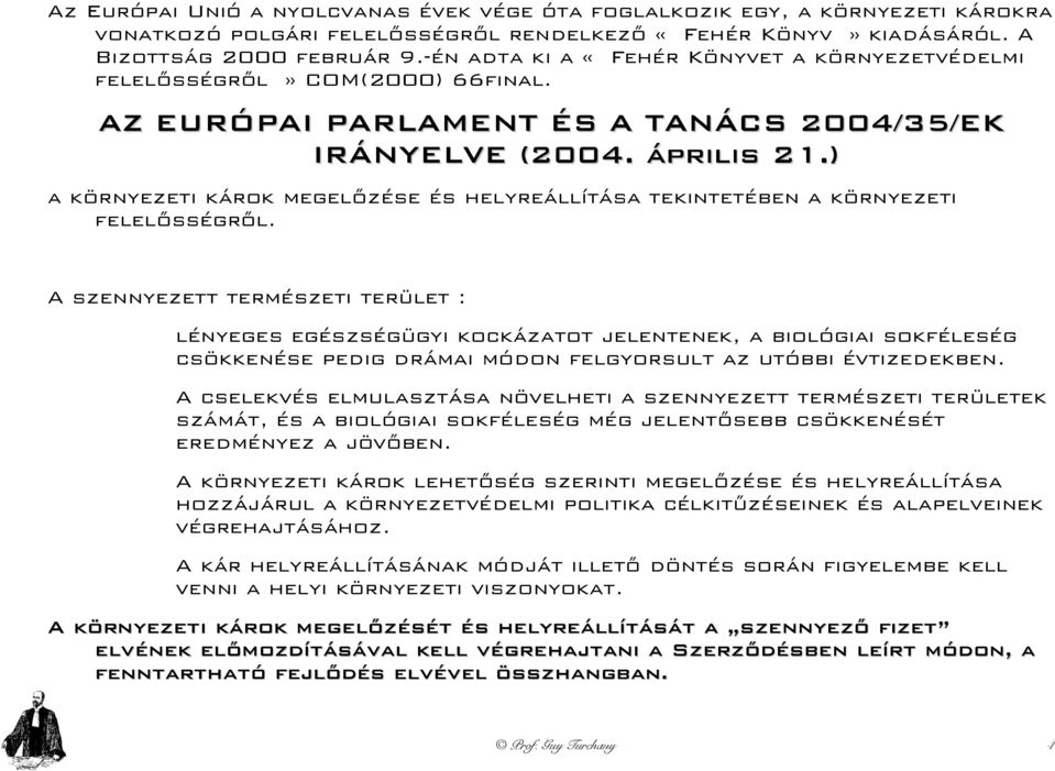 ) a környezeti károk megelőzése és helyreállítása tekintetében a környezeti felelősségről.