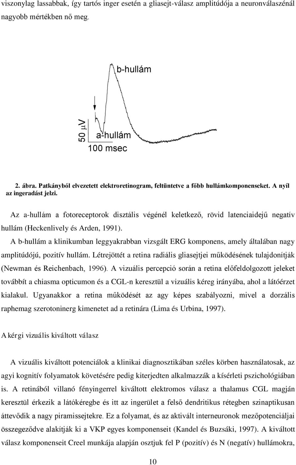 Az a-hullám a fotoreceptorok disztális végénél keletkező, rövid latenciaidejű negatív hullám (Heckenlively és Arden, 1991).