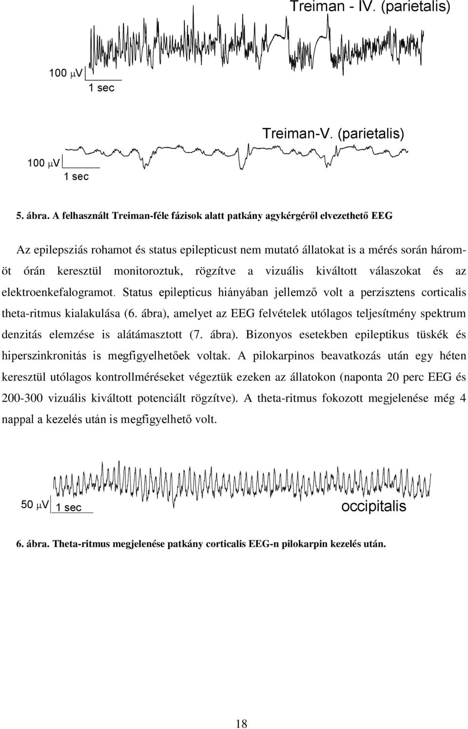 rögzítve a vizuális kiváltott válaszokat és az elektroenkefalogramot. Status epilepticus hiányában jellemző volt a perzisztens corticalis theta-ritmus kialakulása (6.