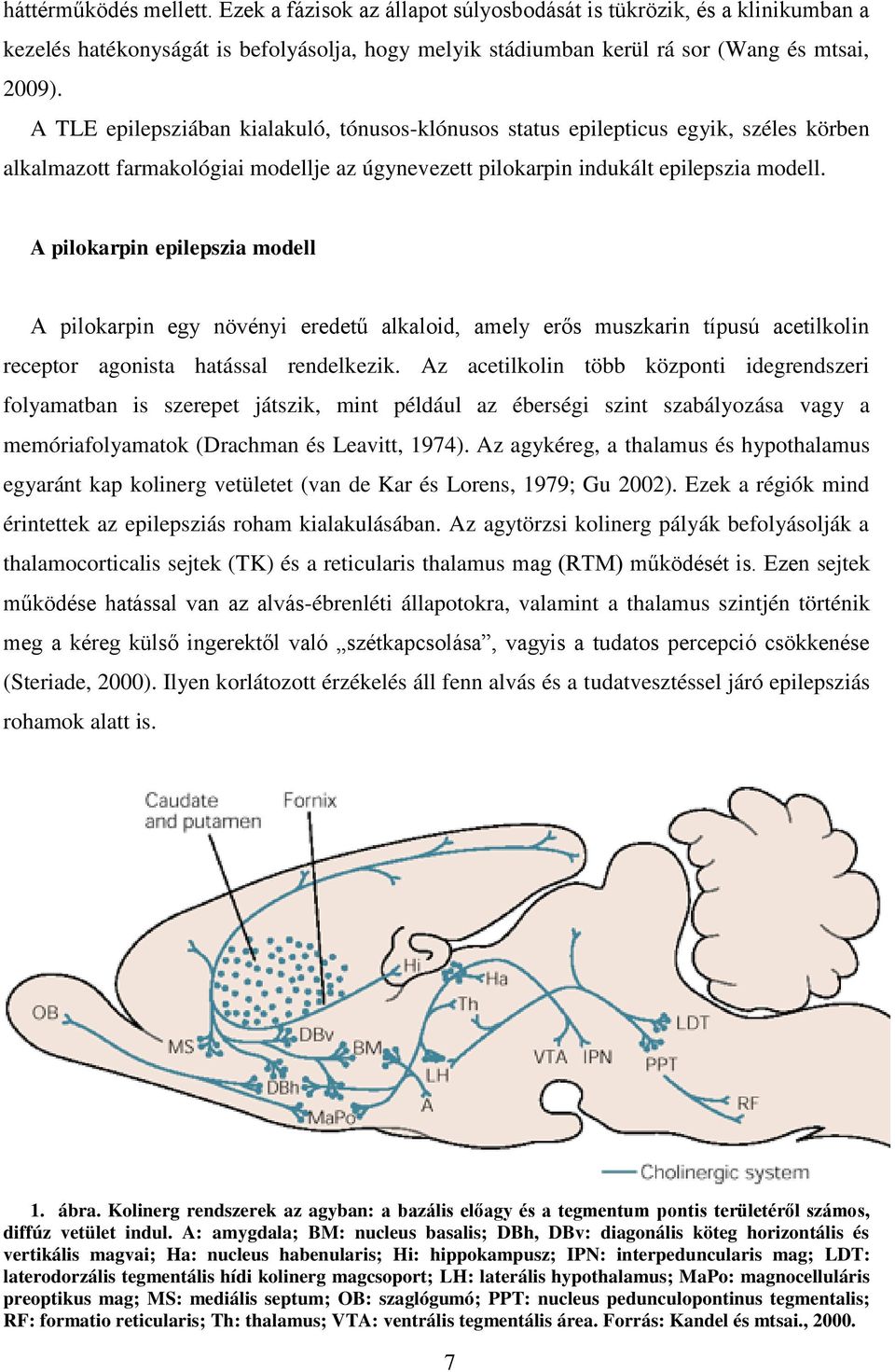 A pilokarpin epilepszia modell A pilokarpin egy növényi eredetű alkaloid, amely erős muszkarin típusú acetilkolin receptor agonista hatással rendelkezik.