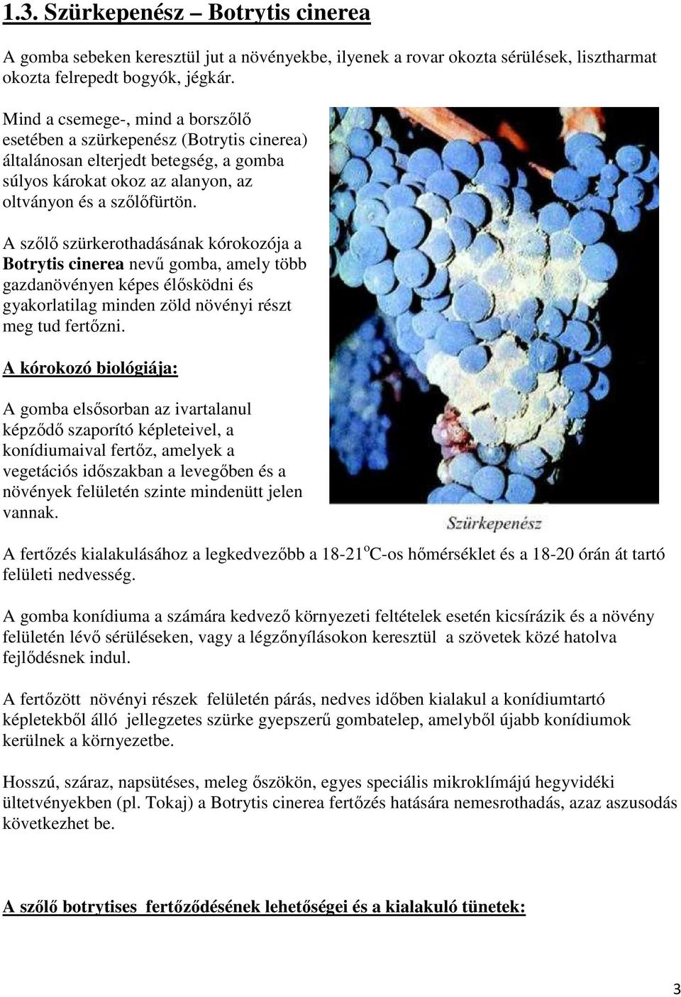 A szőlő szürkerothadásának kórokozója a Botrytis cinerea nevű gomba, amely több gazdanövényen képes élősködni és gyakorlatilag minden zöld növényi részt meg tud fertőzni.